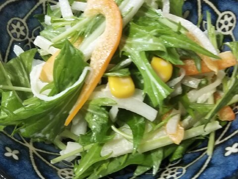 シャキうま！水菜サラダ